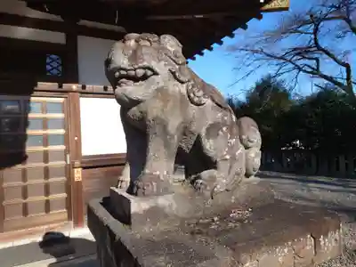 富士浅間神社の狛犬