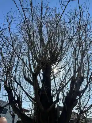 八大龍王辨財天の{uncategorized: "未分類", other: "その他", undefined: "問題あり", building: "その他建物", grave: "お墓", sacred_gate: "鳥居", guardian: "狛犬", statue: "像", buddha: "仏像", history: "歴史", nature: "自然", garden: "庭園", animal: "動物", pagoda: "塔", temizu: "手水舎", mountain_gate: "山門・神門", sanctuary: "本殿・本堂", subordinate: "末社・摂社", art: "芸術", scenery: "景色", jizo: "地蔵", ema: "絵馬", goshuin: "御朱印", omikuji: "おみくじ", items: "授与品その他", amulet: "お守り", goshuincho: "御朱印帳", eats: "食事", festival: "お祭り", votive_dance: "神楽", shichigosan: "七五三参", wedding: "結婚式", experience: "体験その他", initially: "初詣", around: "周辺", anti_infection: "感染症対策"}