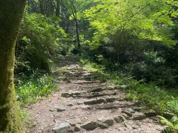 施福寺の{uncategorized: "未分類", other: "その他", undefined: "問題あり", building: "その他建物", grave: "お墓", sacred_gate: "鳥居", guardian: "狛犬", statue: "像", buddha: "仏像", history: "歴史", nature: "自然", garden: "庭園", animal: "動物", pagoda: "塔", temizu: "手水舎", mountain_gate: "山門・神門", sanctuary: "本殿・本堂", subordinate: "末社・摂社", art: "芸術", scenery: "景色", jizo: "地蔵", ema: "絵馬", goshuin: "御朱印", omikuji: "おみくじ", items: "授与品その他", amulet: "お守り", goshuincho: "御朱印帳", eats: "食事", festival: "お祭り", votive_dance: "神楽", shichigosan: "七五三参", wedding: "結婚式", experience: "体験その他", initially: "初詣", around: "周辺", anti_infection: "感染症対策"}