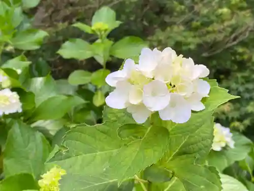 円覚寺(神奈川県)