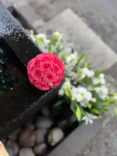 上尾御嶽神社の手水