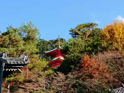 今熊野観音寺のその他建物