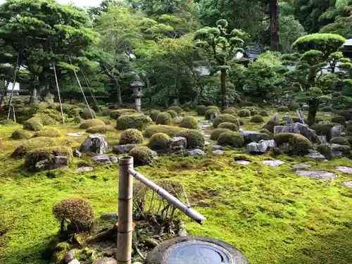 金剛寺の庭園