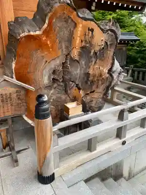 丹生川上神社（上社）(奈良県)