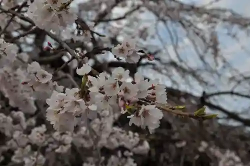 道成寺の自然