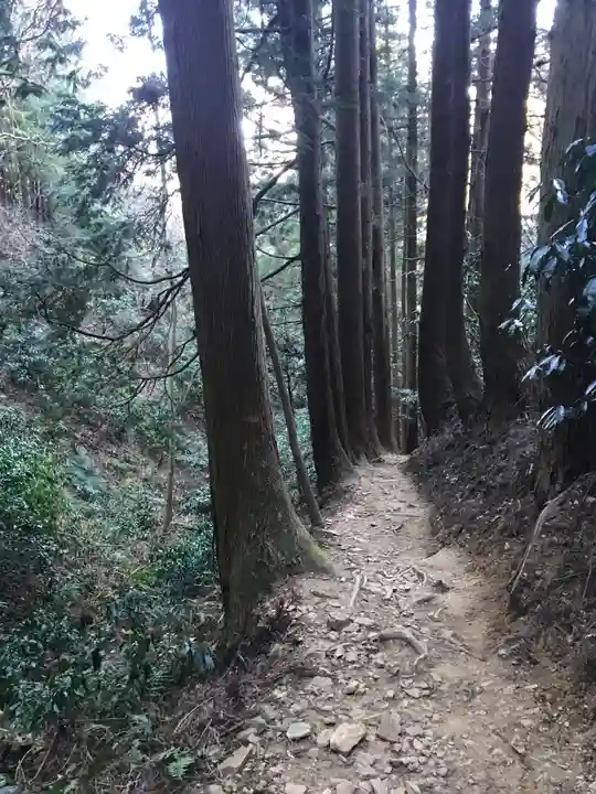 御岩神社の自然