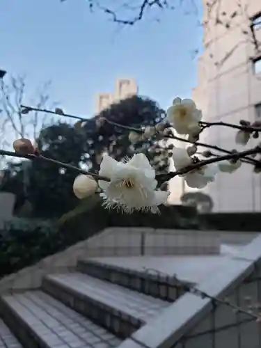 銀世界稲荷神社(東京都)