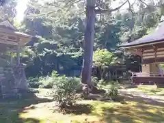 碧祥寺の庭園