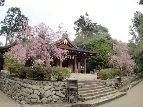 飛鳥坐神社の本殿