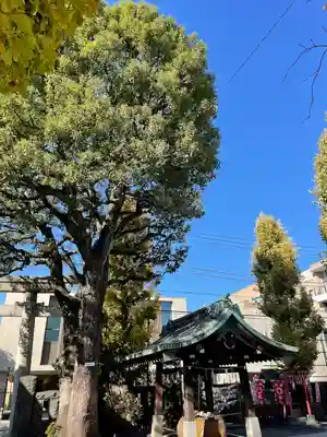 麻布氷川神社(東京都)