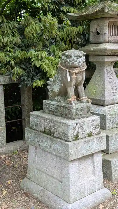日吉神社(京都府)