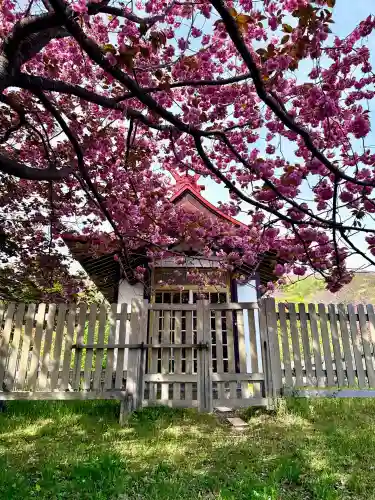 石崎地主海神社の{uncategorized: "未分類", other: "その他", undefined: "問題あり", building: "その他建物", grave: "お墓", sacred_gate: "鳥居", guardian: "狛犬", statue: "像", buddha: "仏像", history: "歴史", nature: "自然", garden: "庭園", animal: "動物", pagoda: "塔", temizu: "手水舎", mountain_gate: "山門・神門", sanctuary: "本殿・本堂", subordinate: "末社・摂社", art: "芸術", scenery: "景色", jizo: "地蔵", ema: "絵馬", goshuin: "御朱印", omikuji: "おみくじ", items: "授与品その他", amulet: "お守り", goshuincho: "御朱印帳", eats: "食事", festival: "お祭り", votive_dance: "神楽", shichigosan: "七五三参", wedding: "結婚式", experience: "体験その他", initially: "初詣", around: "周辺", anti_infection: "感染症対策"}