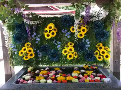 金蛇水神社の{uncategorized: "未分類", other: "その他", undefined: "問題あり", building: "その他建物", grave: "お墓", sacred_gate: "鳥居", guardian: "狛犬", statue: "像", buddha: "仏像", history: "歴史", nature: "自然", garden: "庭園", animal: "動物", pagoda: "塔", temizu: "手水舎", mountain_gate: "山門・神門", sanctuary: "本殿・本堂", subordinate: "末社・摂社", art: "芸術", scenery: "景色", jizo: "地蔵", ema: "絵馬", goshuin: "御朱印", omikuji: "おみくじ", items: "授与品その他", amulet: "お守り", goshuincho: "御朱印帳", eats: "食事", festival: "お祭り", votive_dance: "神楽", shichigosan: "七五三参", wedding: "結婚式", experience: "体験その他", initially: "初詣", around: "周辺", anti_infection: "感染症対策"}