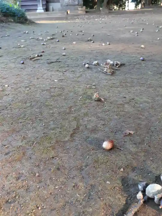 伏木香取神社(茨城県)