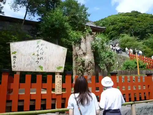 鶴岡八幡宮の自然