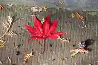 豊景神社(福島県)