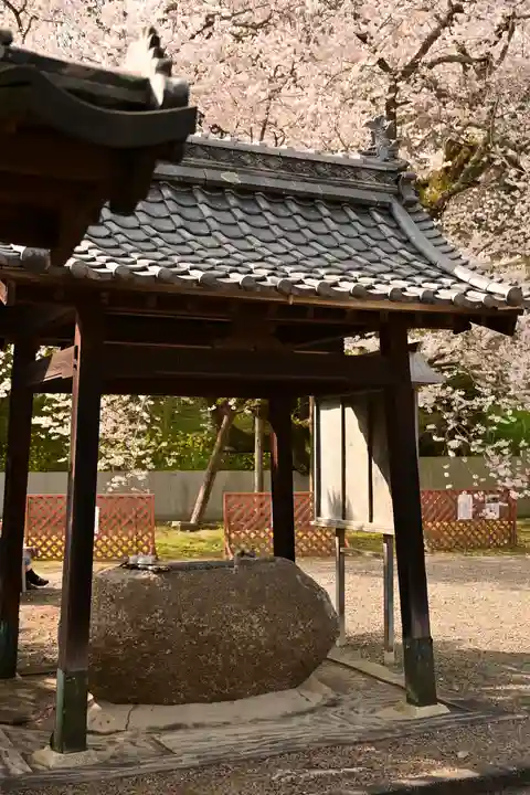掌禅寺(愛媛県)