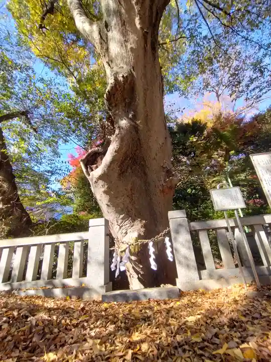 青渭神社のその他建物