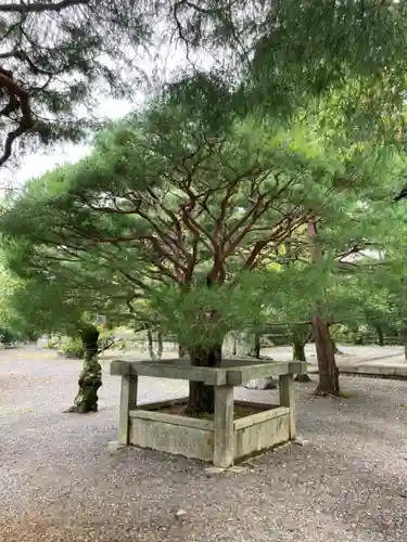 知恩院(京都府)