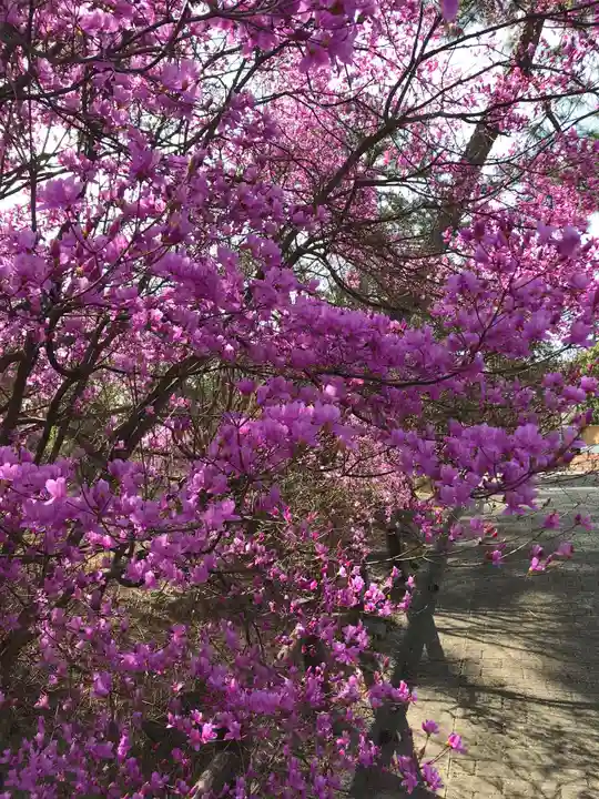 廣田神社の自然