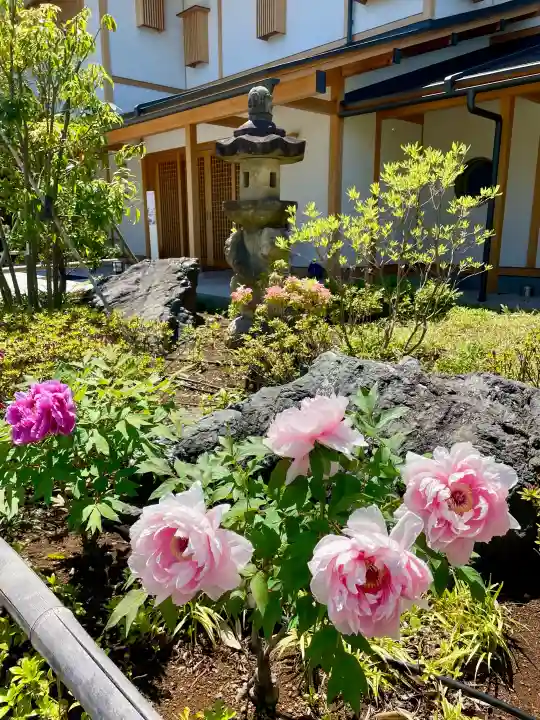 善立寺の{uncategorized: "未分類", other: "その他", undefined: "問題あり", building: "その他建物", grave: "お墓", sacred_gate: "鳥居", guardian: "狛犬", statue: "像", buddha: "仏像", history: "歴史", nature: "自然", garden: "庭園", animal: "動物", pagoda: "塔", temizu: "手水舎", mountain_gate: "山門・神門", sanctuary: "本殿・本堂", subordinate: "末社・摂社", art: "芸術", scenery: "景色", jizo: "地蔵", ema: "絵馬", goshuin: "御朱印", omikuji: "おみくじ", items: "授与品その他", amulet: "お守り", goshuincho: "御朱印帳", eats: "食事", festival: "お祭り", votive_dance: "神楽", shichigosan: "七五三参", wedding: "結婚式", experience: "体験その他", initially: "初詣", around: "周辺", anti_infection: "感染症対策"}