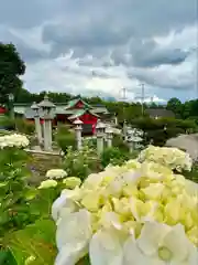 富士浅間神社の自然