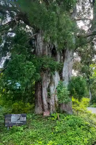 雄山神社峰本社の自然
