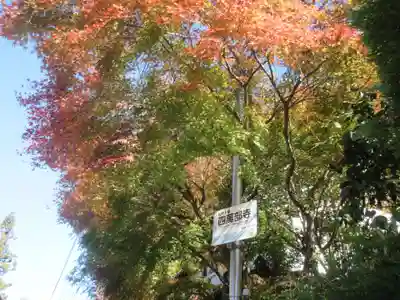 秩父札所１番　四萬部寺(埼玉県)