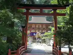 丹生都比売神社の鳥居