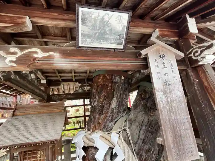 松尾大社(京都府)