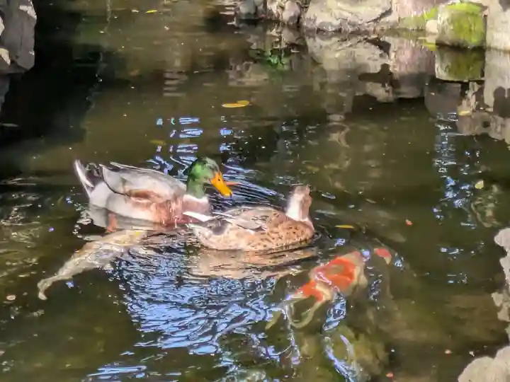 世田谷八幡宮(東京都)