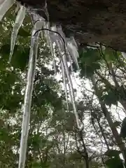 西林寺の建物その他