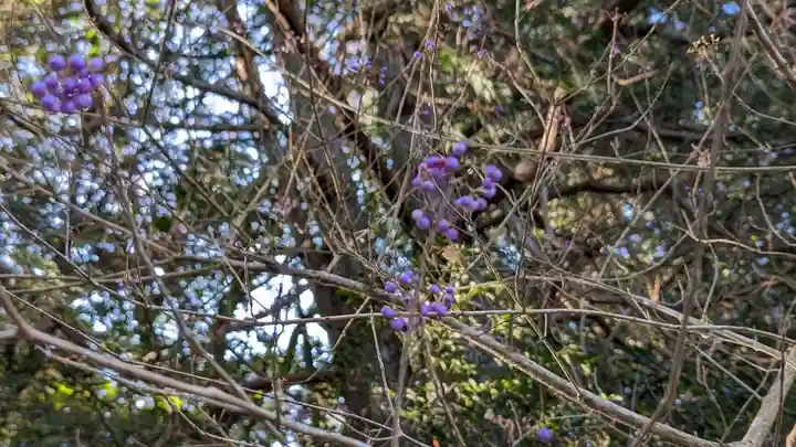 善能寺(京都府)
