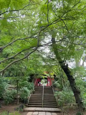 本土寺の山門・神門