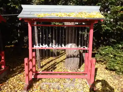 篠路神社のおみくじ
