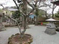 光触寺の庭園