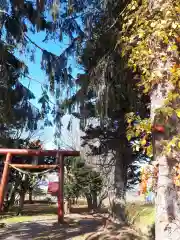 南耕地神社の鳥居