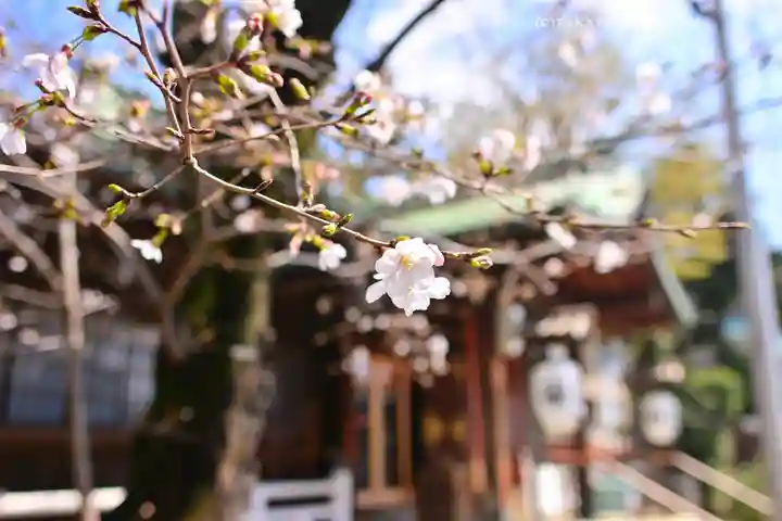 多田神社(東京都)