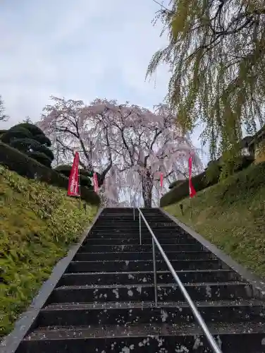 身照寺の{uncategorized: "未分類", other: "その他", undefined: "問題あり", building: "その他建物", grave: "お墓", sacred_gate: "鳥居", guardian: "狛犬", statue: "像", buddha: "仏像", history: "歴史", nature: "自然", garden: "庭園", animal: "動物", pagoda: "塔", temizu: "手水舎", mountain_gate: "山門・神門", sanctuary: "本殿・本堂", subordinate: "末社・摂社", art: "芸術", scenery: "景色", jizo: "地蔵", ema: "絵馬", goshuin: "御朱印", omikuji: "おみくじ", items: "授与品その他", amulet: "お守り", goshuincho: "御朱印帳", eats: "食事", festival: "お祭り", votive_dance: "神楽", shichigosan: "七五三参", wedding: "結婚式", experience: "体験その他", initially: "初詣", around: "周辺", anti_infection: "感染症対策"}