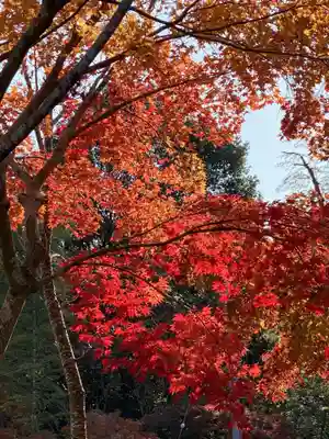 茨城縣護國神社(茨城県)