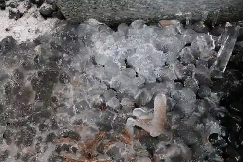 高司神社〜むすびの神の鎮まる社〜の自然