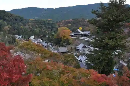 長谷寺の自然