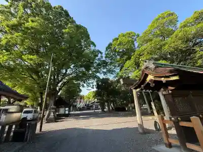 武雄神社の{uncategorized: "未分類", other: "その他", undefined: "問題あり", building: "その他建物", grave: "お墓", sacred_gate: "鳥居", guardian: "狛犬", statue: "像", buddha: "仏像", history: "歴史", nature: "自然", garden: "庭園", animal: "動物", pagoda: "塔", temizu: "手水舎", mountain_gate: "山門・神門", sanctuary: "本殿・本堂", subordinate: "末社・摂社", art: "芸術", scenery: "景色", jizo: "地蔵", ema: "絵馬", goshuin: "御朱印", omikuji: "おみくじ", items: "授与品その他", amulet: "お守り", goshuincho: "御朱印帳", eats: "食事", festival: "お祭り", votive_dance: "神楽", shichigosan: "七五三参", wedding: "結婚式", experience: "体験その他", initially: "初詣", around: "周辺", anti_infection: "感染症対策"}