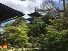 當麻寺の自然