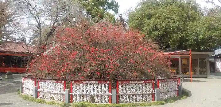 冠稲荷神社の自然