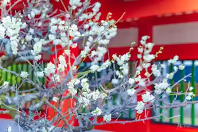 熊野速玉大社(和歌山県)