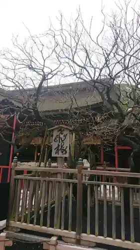 太宰府天満宮の自然