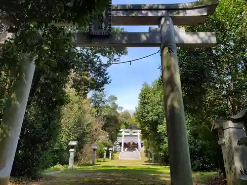 禰ノ御門神社の鳥居