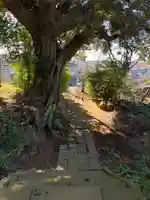 坂月神社(千葉県)