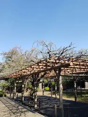 愛染院(東京都)